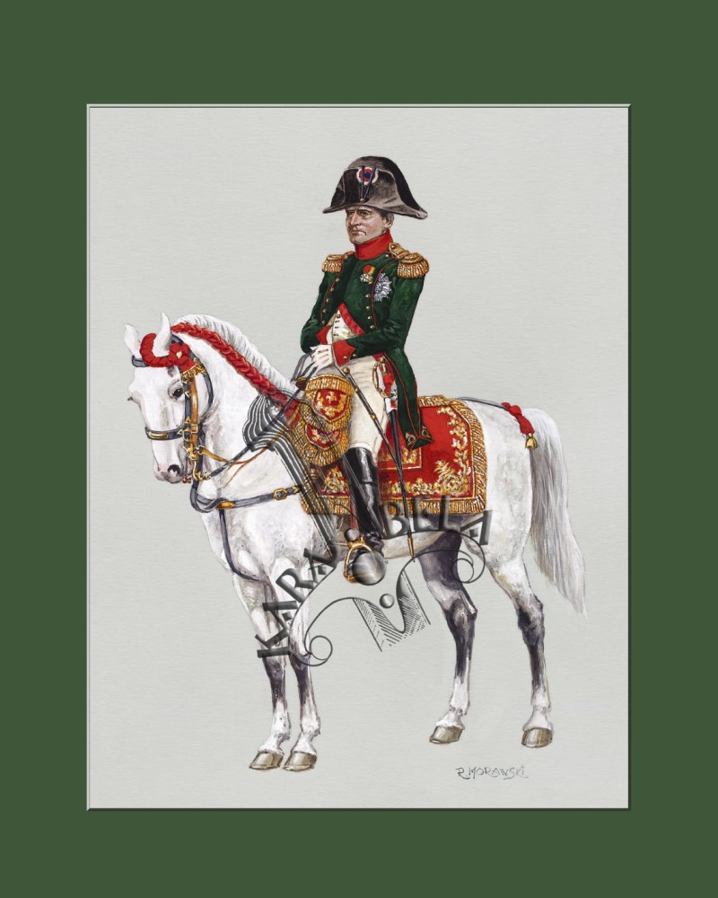 Napoleon400x500.jpg